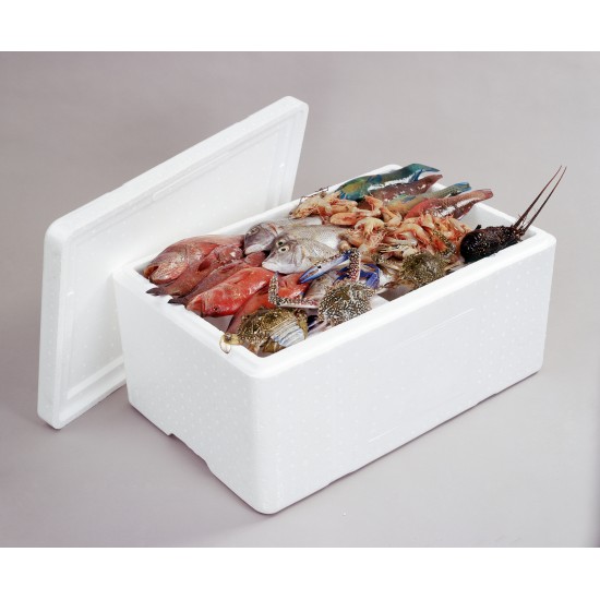 20 kg fish storage box